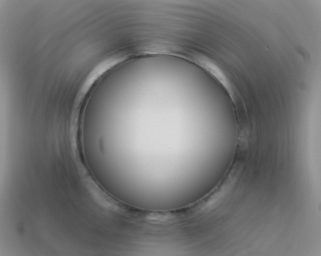 X0000113891146200910081803