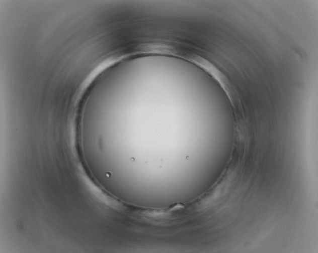 X0000113891147200910081803