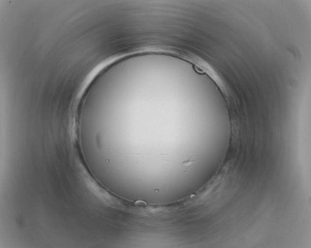 X0000113891148200910081803