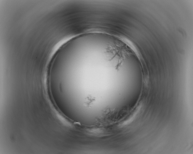 X0000113891149200910081803