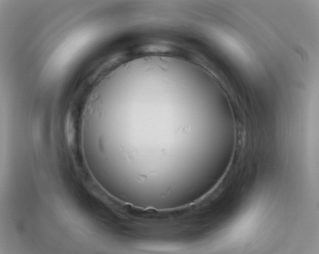 X0000113891151200910081803