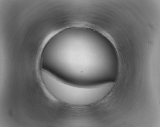 X0000113891152200910081803