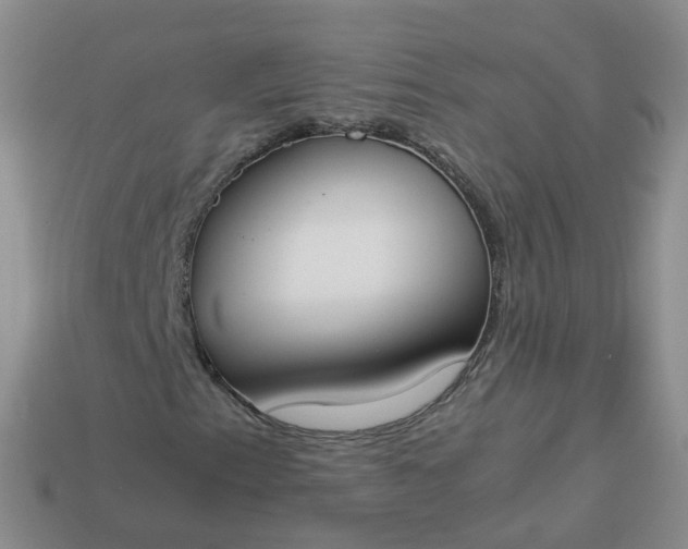 X0000113891153200910081802