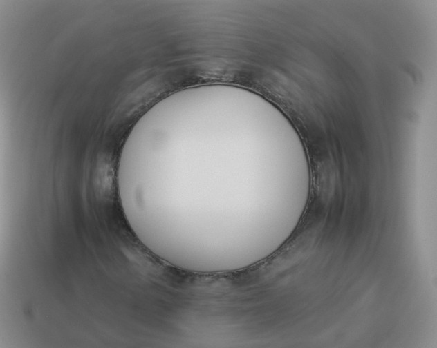 X0000113891154200910081802