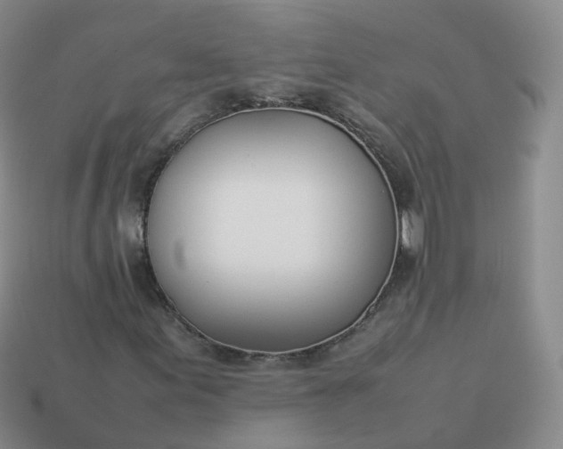 X0000113891155200910081802