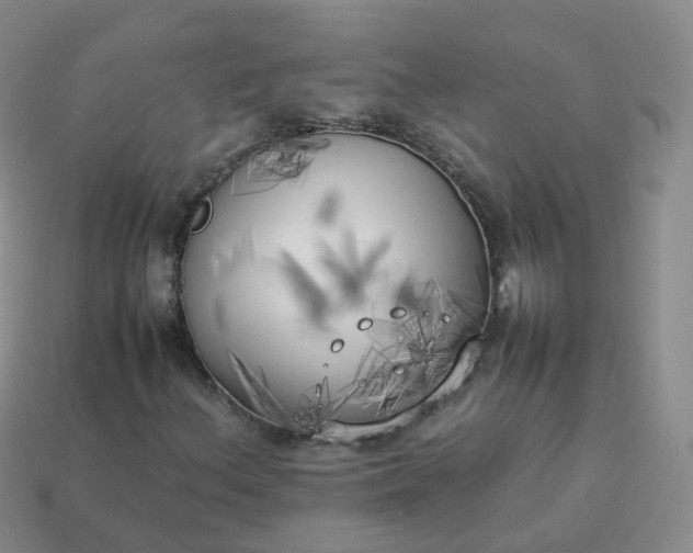 X0000113891156200910081802