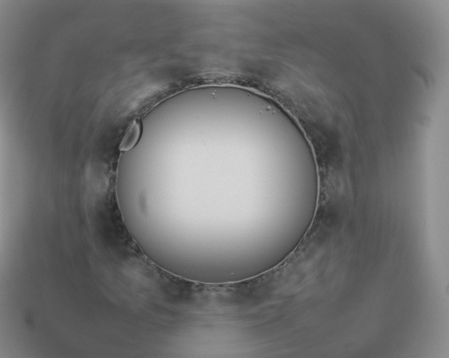 X0000113891157200910081802