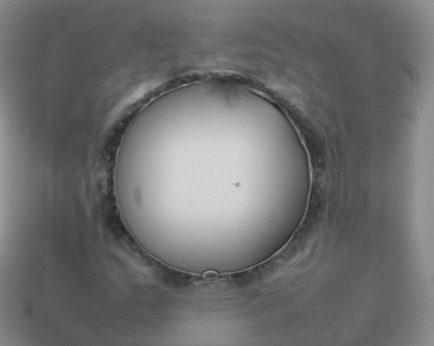 X0000113891159200910081802