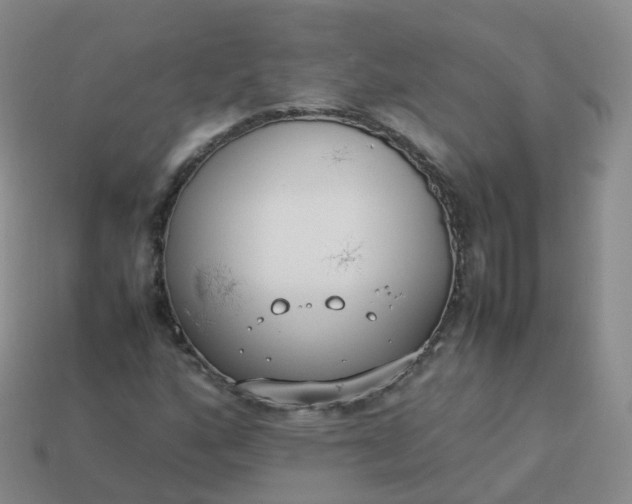 X0000113891160200910081802