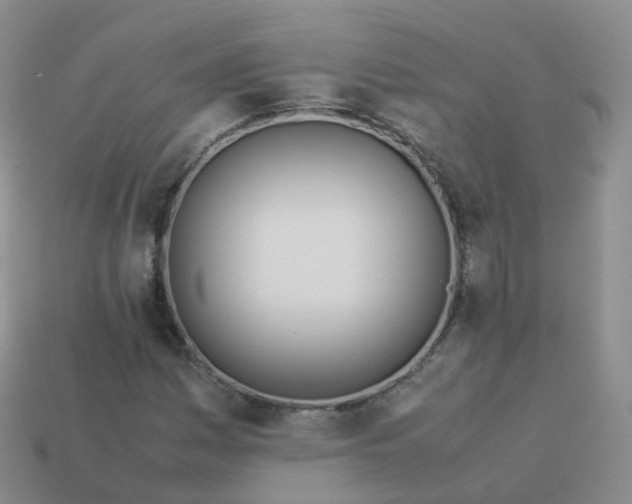 X0000113891161200910081802