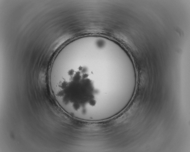 X0000113891162200910081802