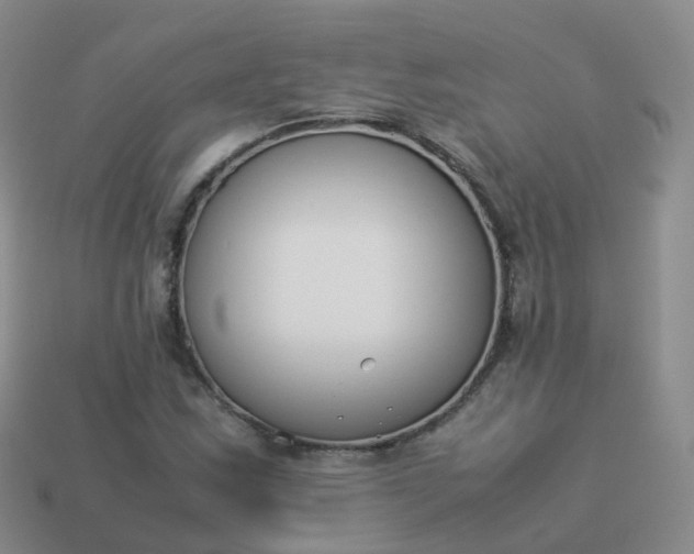 X0000113891163200910081802