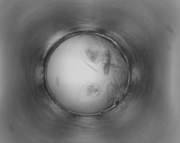 X0000113891164200910081802