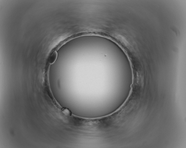 X0000113891165200910081802