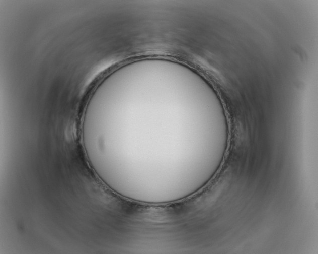 X0000113891166200910081802