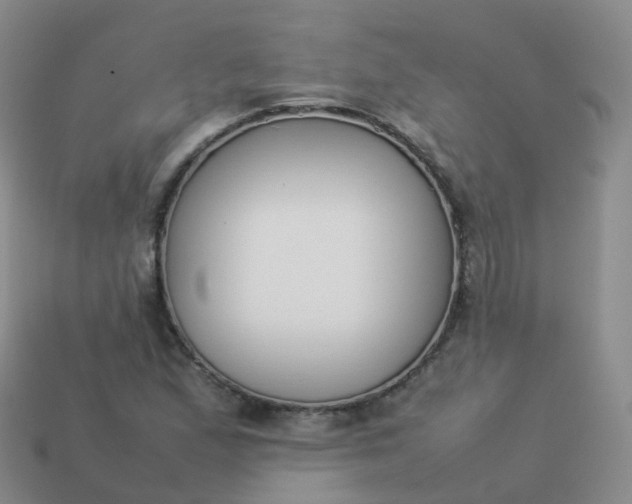 X0000113891167200910081802