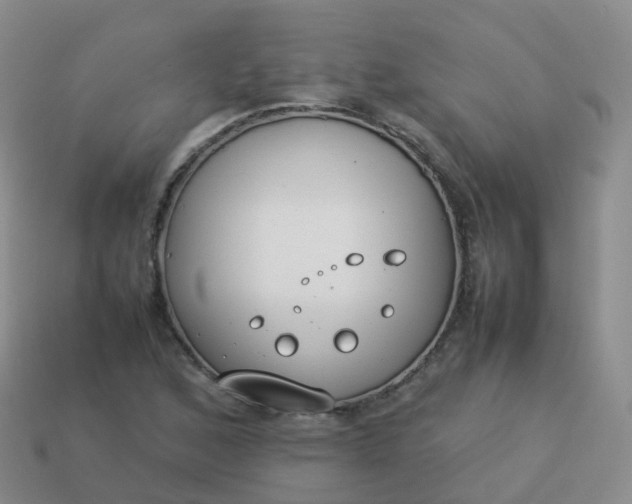 X0000113891168200910081802