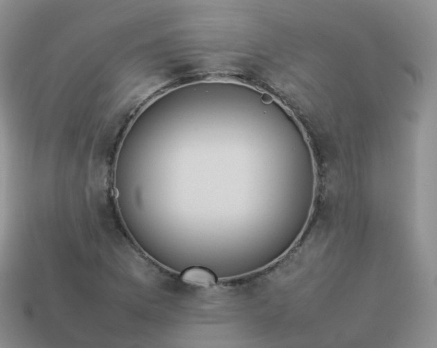 X0000113891169200910081802