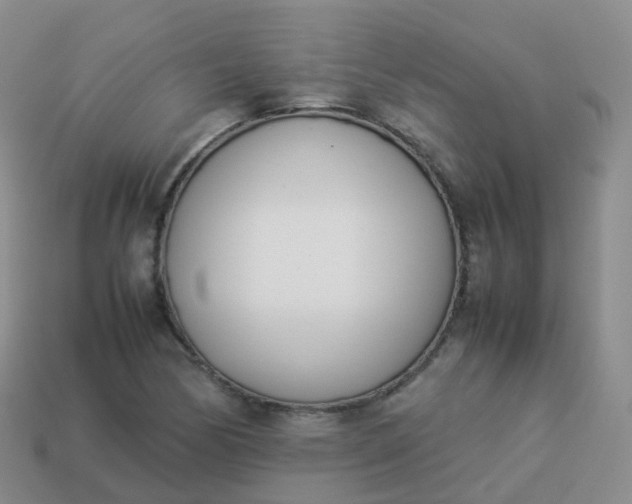 X0000113891170200910081802