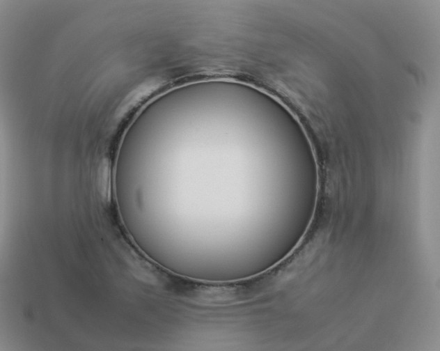 X0000113891171200910081802