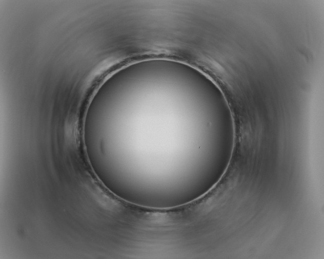 X0000113891172200910081802