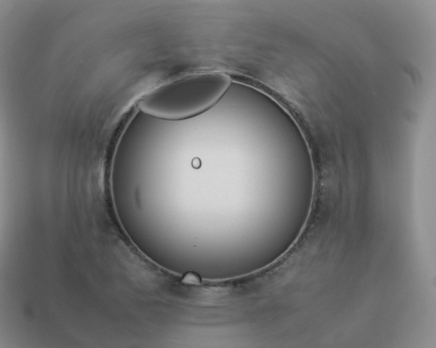 X0000113891173200910081802