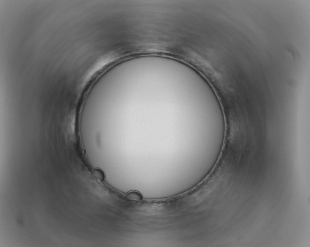 X0000113891174200910081802