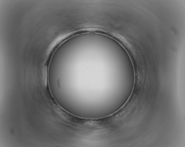 X0000113891175200910081802