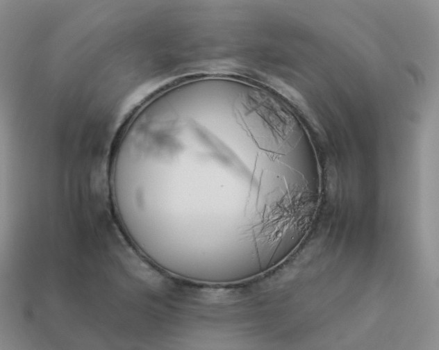 X0000113891176200910081802