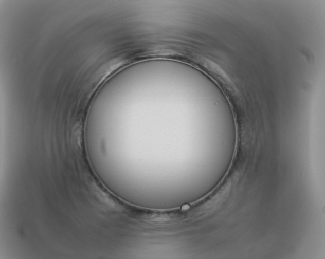 X0000113891177200910081802