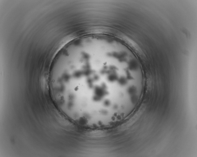 X0000113891178200910081802