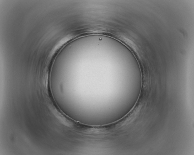 X0000113891179200910081802