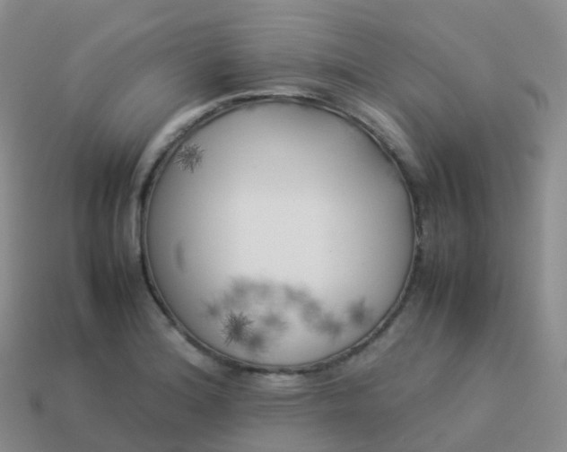 X0000113891180200910081802