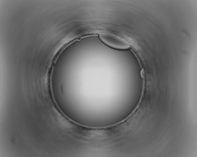 X0000113891181200910081802