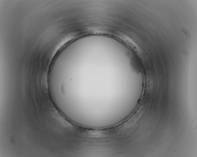 X0000113891182200910081802