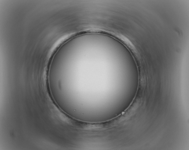 X0000113891183200910081802