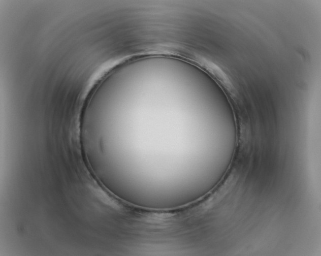 X0000113891184200910081802