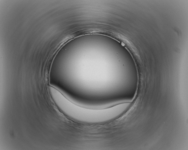 X0000113891185200910081802