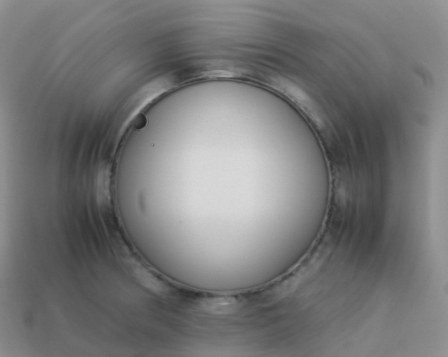 X0000113891186200910081802