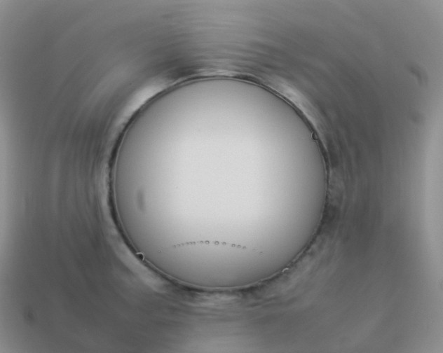 X0000113891187200910081802