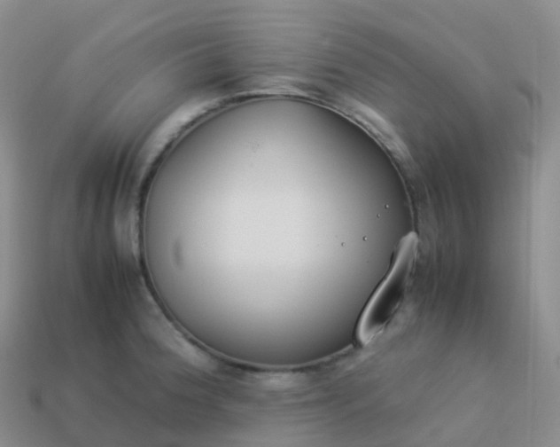 X0000113891188200910081802