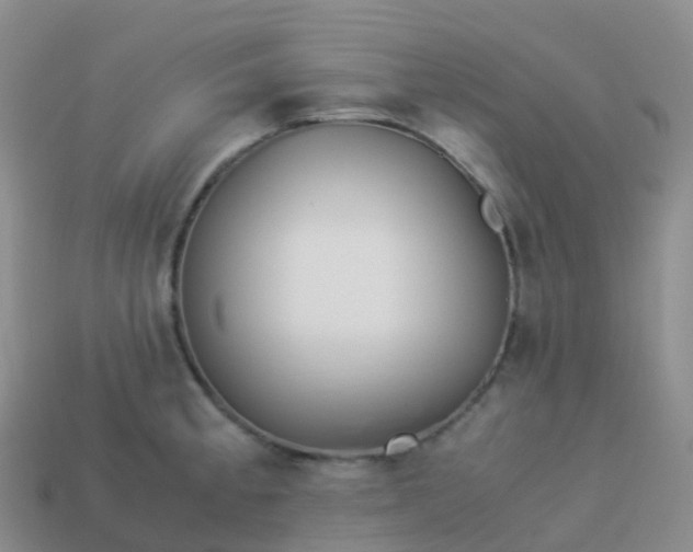 X0000113891189200910081802