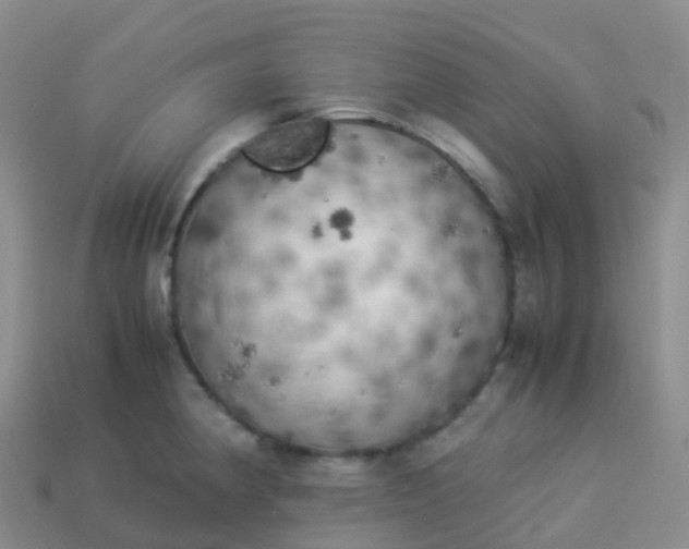 X0000113891190200910081802