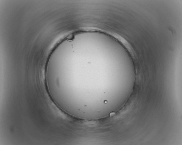 X0000113891191200910081801