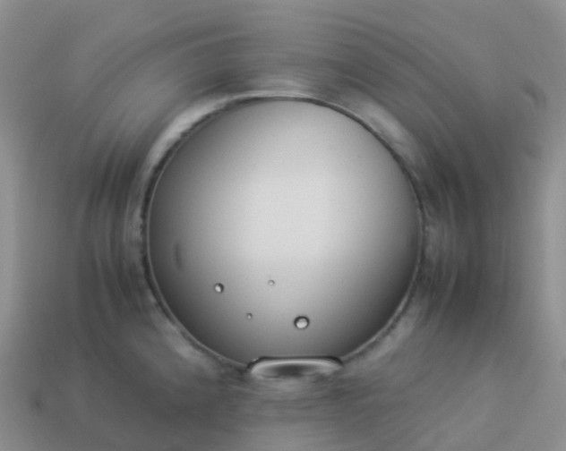 X0000113891192200910081801