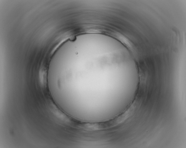 X0000113891194200910081801