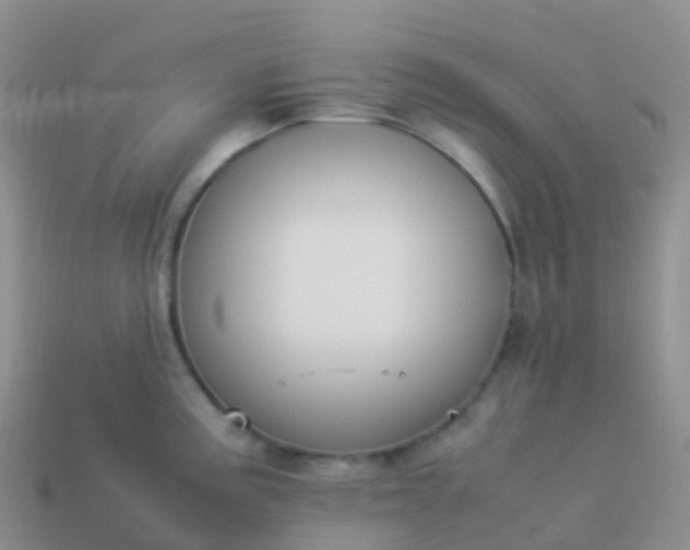 X0000113891195200910081801