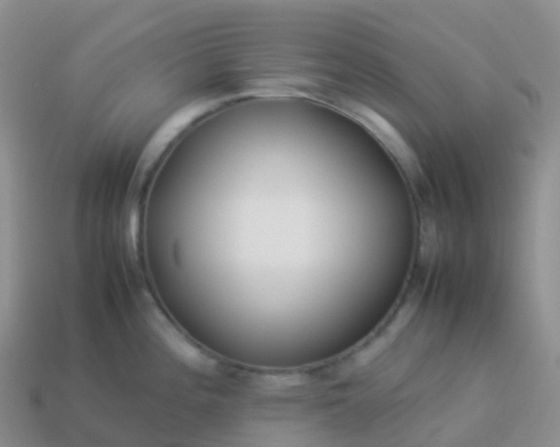 X0000113891196200910081801