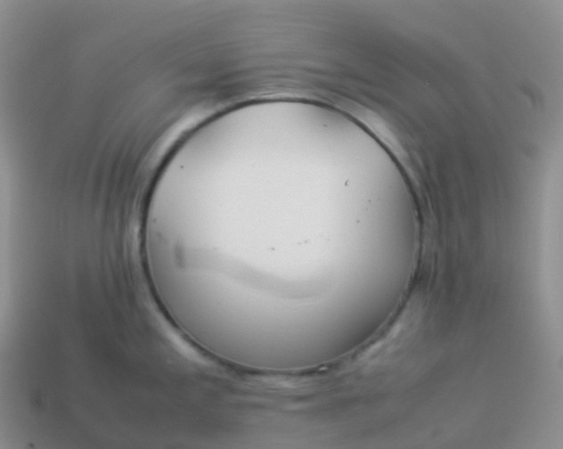 X0000113891197200910081801