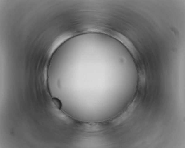 X0000113891198200910081801